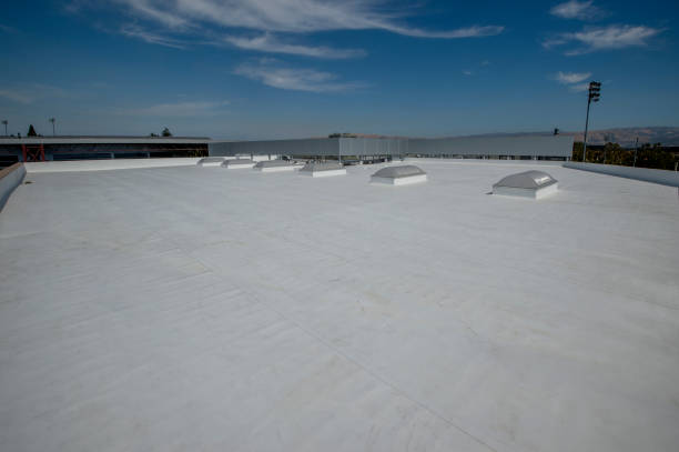 Best Gutter Installation and Repair  in Kissimmee, FL
