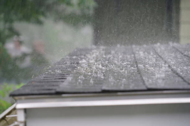 Best Roof Maintenance and Cleaning  in Kissimmee, FL